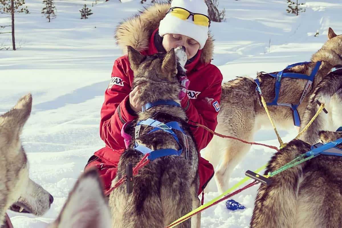 Как выбрать парку для активного отдыха Как выбрать парку для активного отдыха